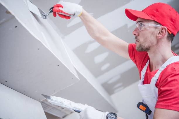 Best Water-Damaged Drywall Repair  in Roselawn, IN